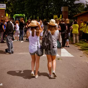 Photos du festival beauregard