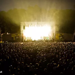 Photos du festival beauregard