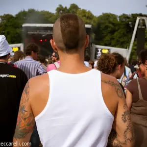 Photos du festival beauregard