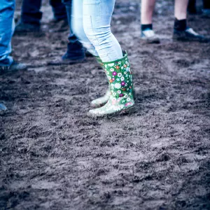 Photos du festival beauregard