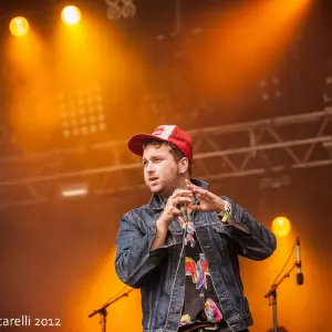 Photos du festival beauregard