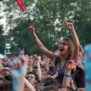 Photos du festival beauregard