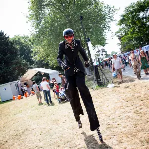 Photos du festival beauregard