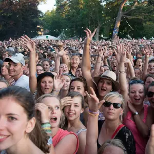 Photos du festival beauregard