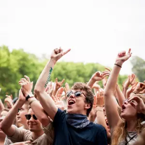 Photos du festival beauregard