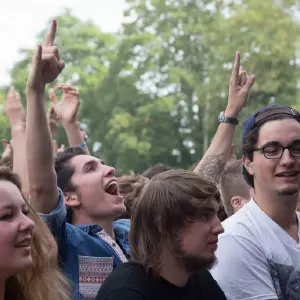 Photos du festival beauregard