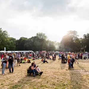 Photos du festival beauregard