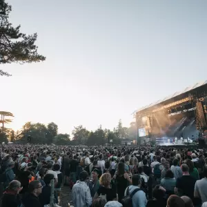 Photos du festival beauregard