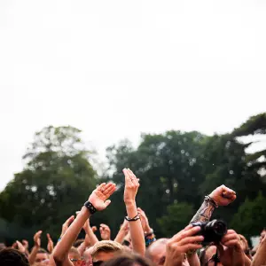 Photos du festival beauregard