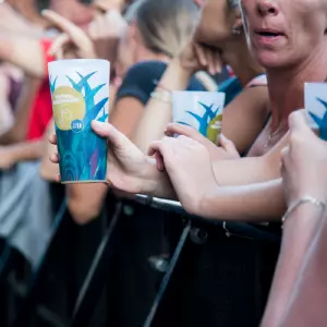 Photos du festival beauregard