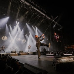 The Hives - © Grégory Forestier