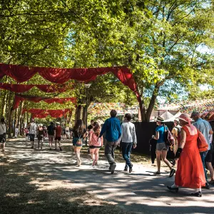 Photos du festival beauregard