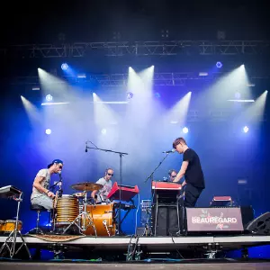 Photos du festival beauregard