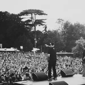 Photos du festival beauregard