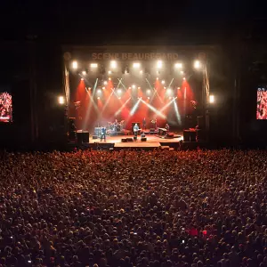 Photos du festival beauregard