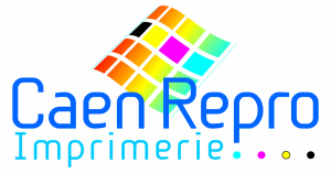 CAEN REPRO