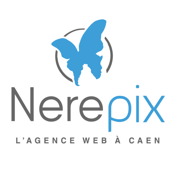 Nerepix partenaire du Festival Beauregard 2023