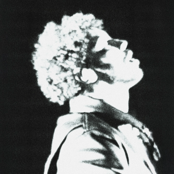 disiz, artiste présent au festival beauregard