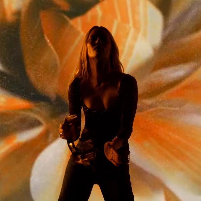 Vanessa Paradis, artiste présent au festival beauregard