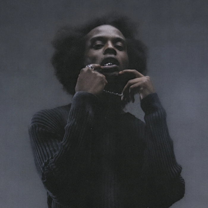 JOLAGREEN23, artiste présent au festival beauregard