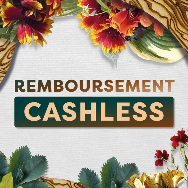 💰 REMBOURSEMENT CASHLESS • JOHN E-CASH - Festival Beauregard