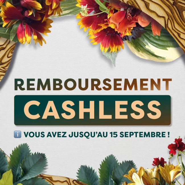 REMBOURSEMENT CASHLESS OUVERT JUSQU'AU 15 SEPTEMBRE ⏱️